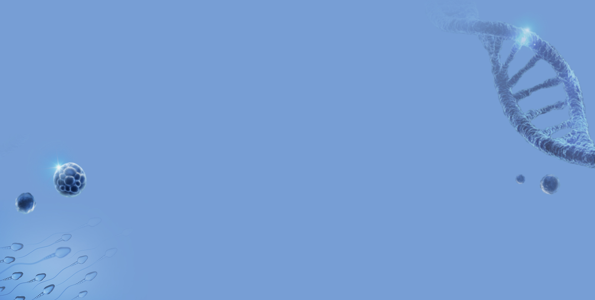 무도정관수술 과정