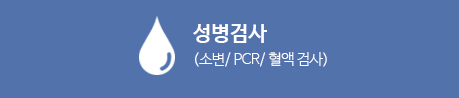 성병검사(소변/PCR/혈액 검사)